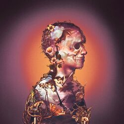 Cover of X2 DELUXE