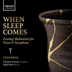 Cover of When Sleep Comes: Evening Meditations for Voices & Saxophone