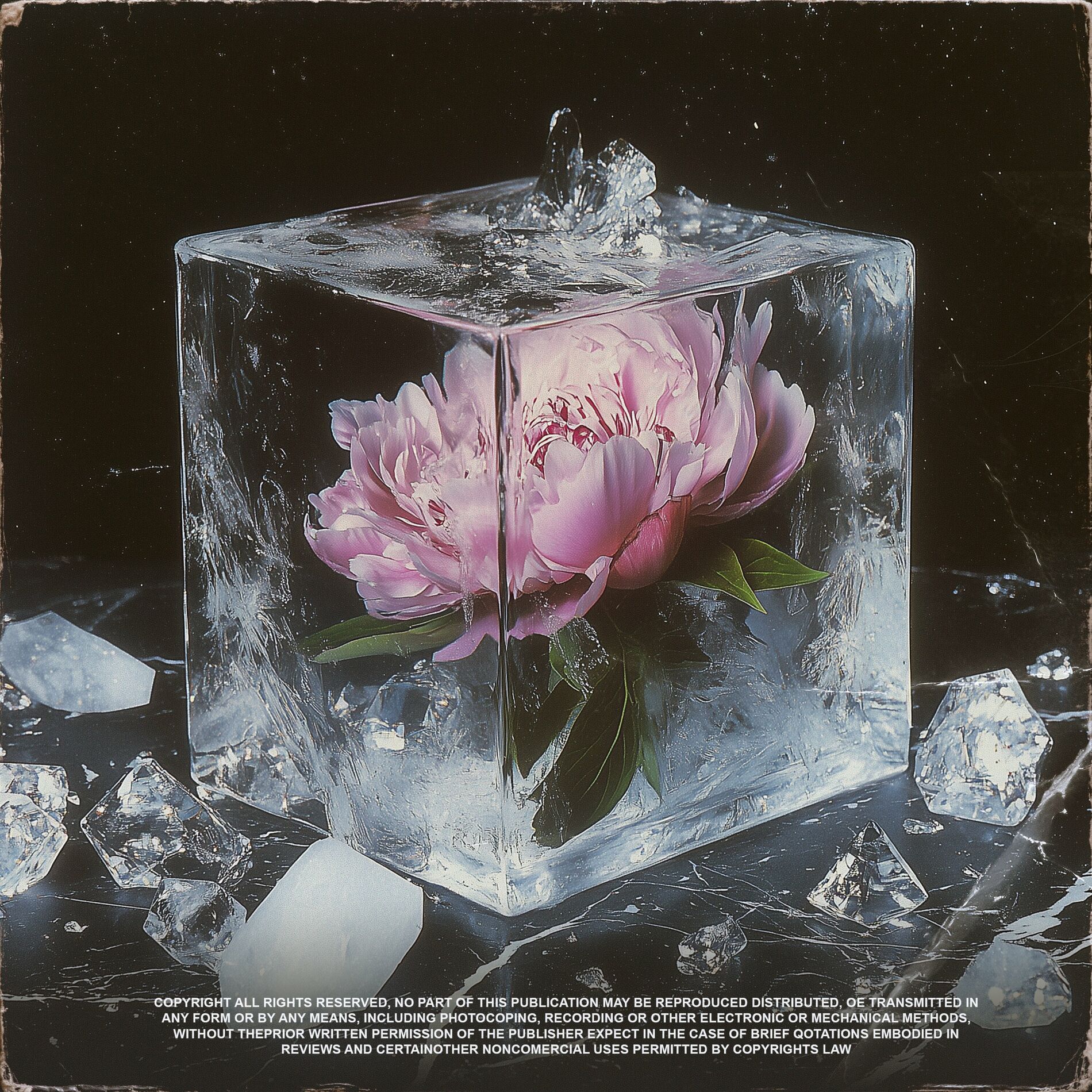 Album cover of Ayna