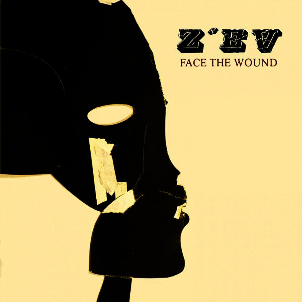 Picture of Face the Wound