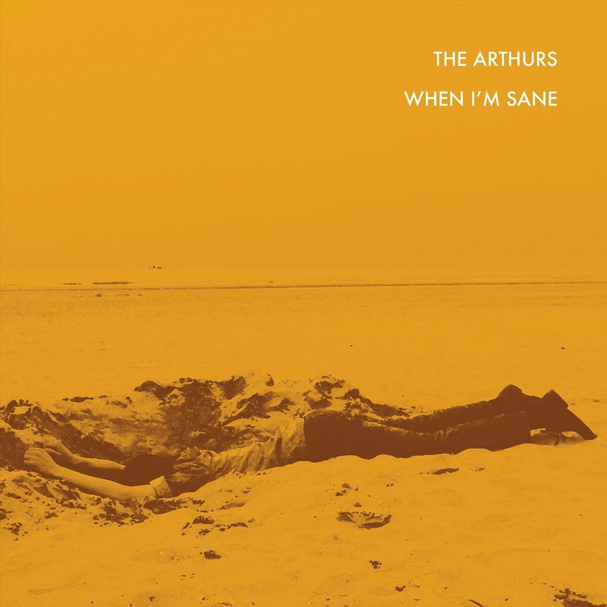 Album cover of When I'm Sane