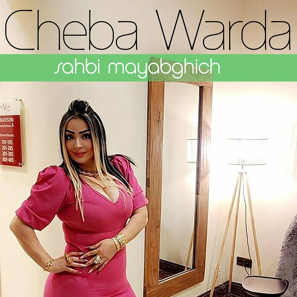 Album cover of Sahbi Mayabghich