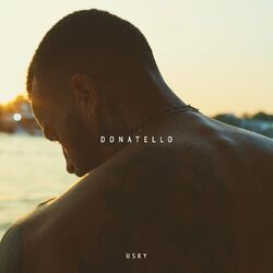 Cover of Donatello