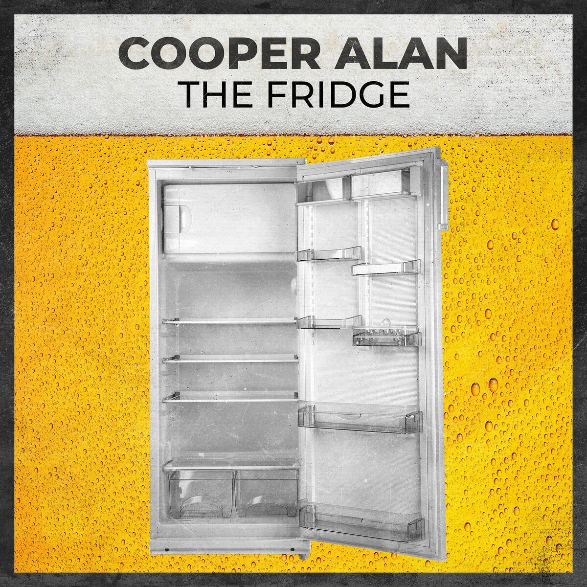 Album cover of The Fridge