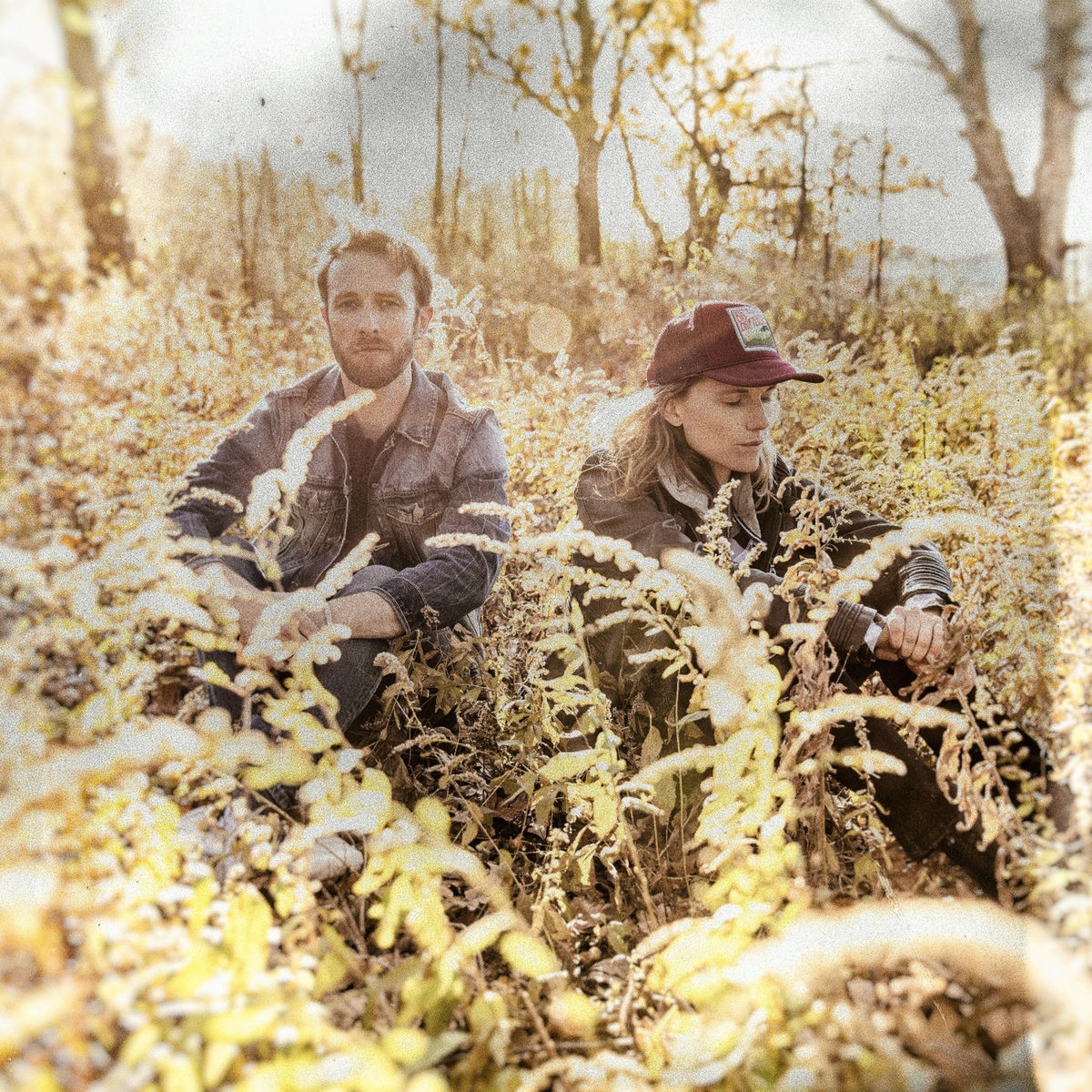 Album cover of Birds