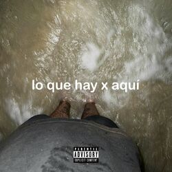 Cover of lo que hay x aquí
