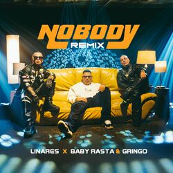 Cover of Nobody (Remix)