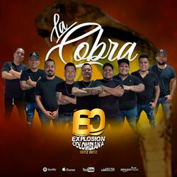Cover of Cobra