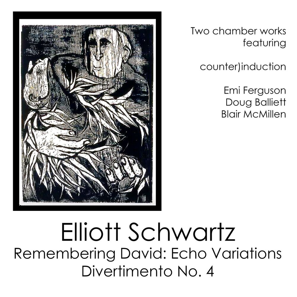 Picture of Elliott Schwartz: Remembering David: Echo Variations