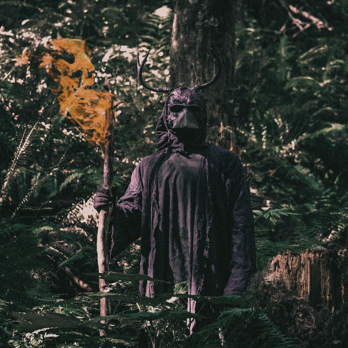 Album cover of Harbinger