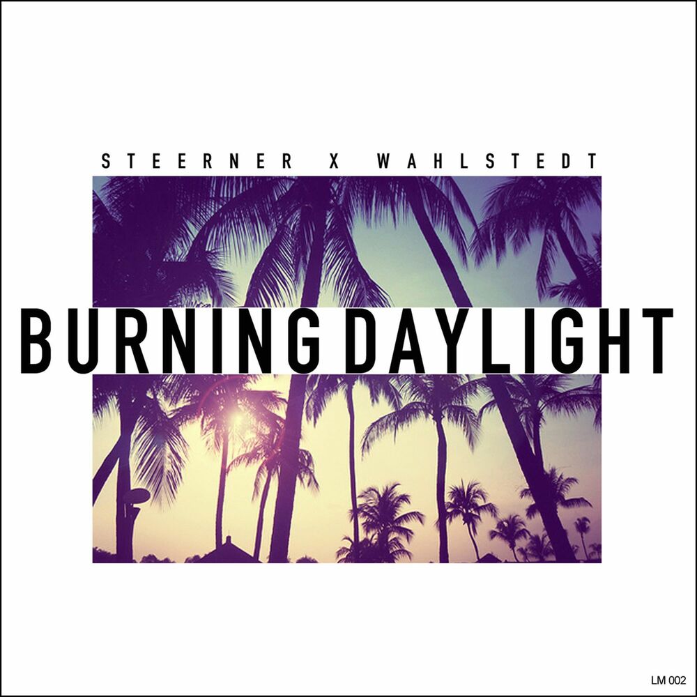 Picture of Burning Daylight