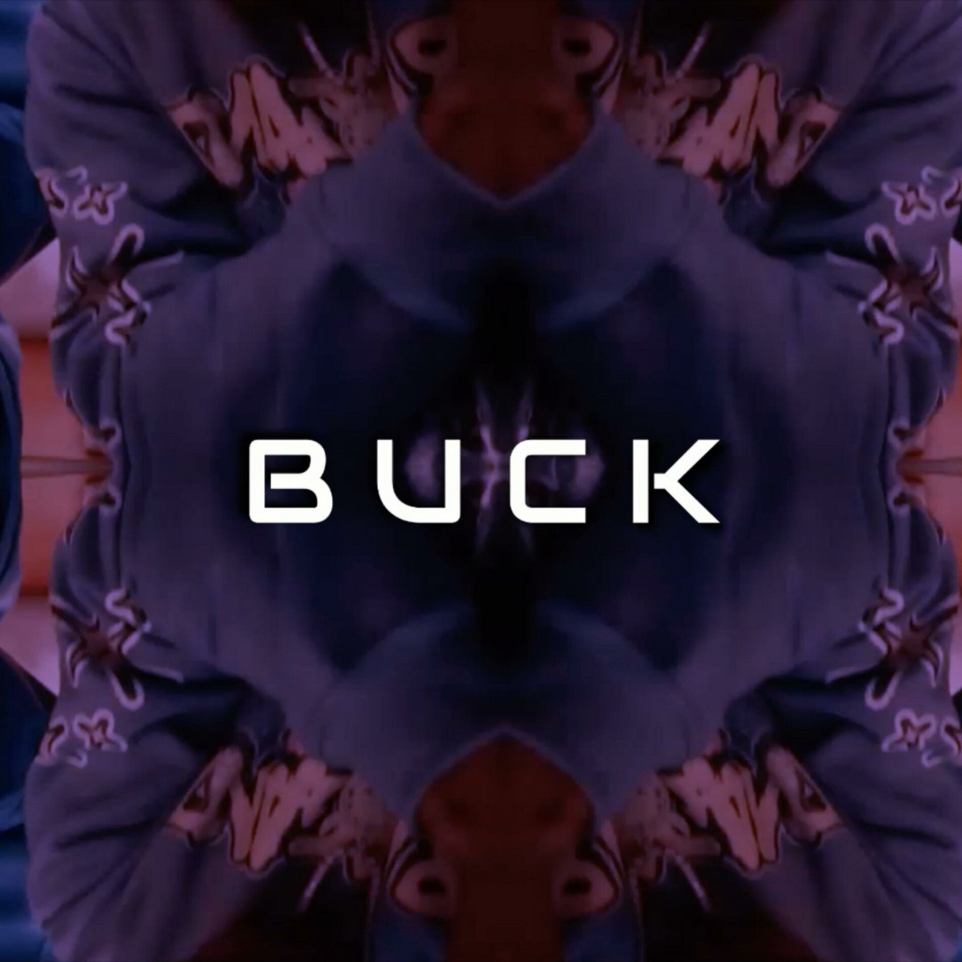 Album cover of Buck