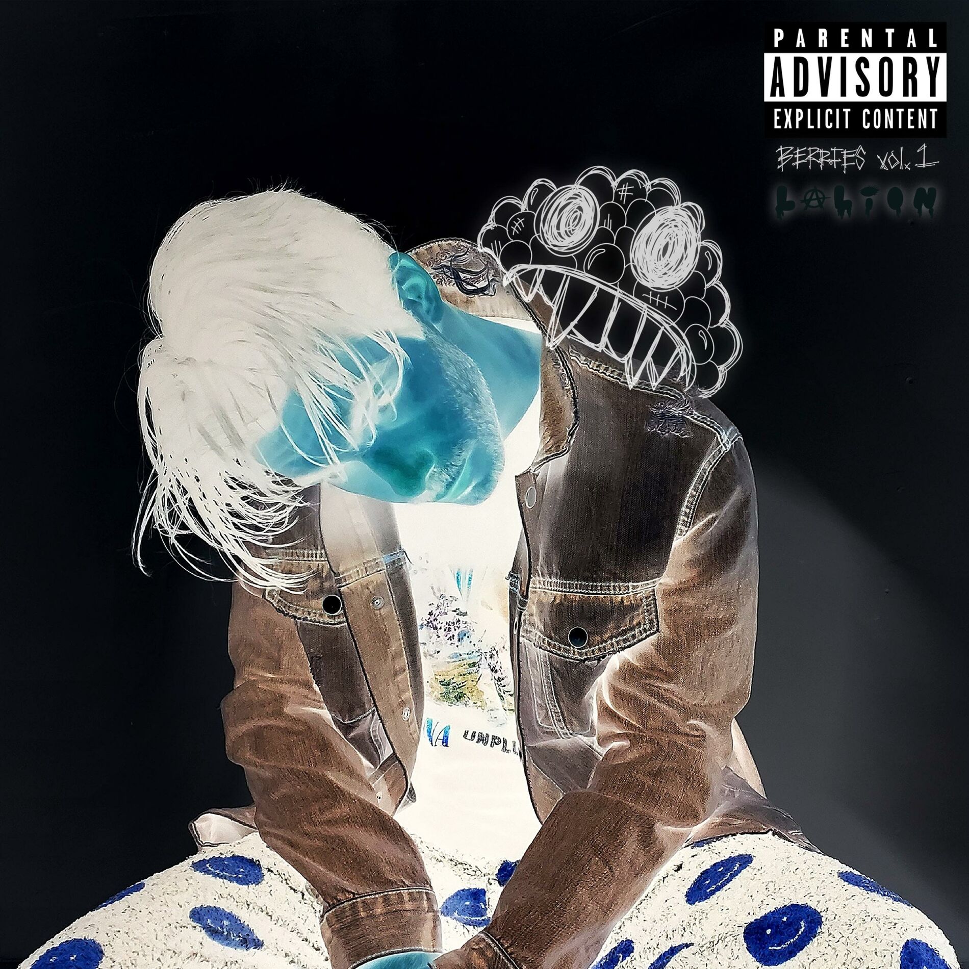 Album cover of BERRIES vol. 1