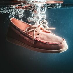 Cover of Seglarskor