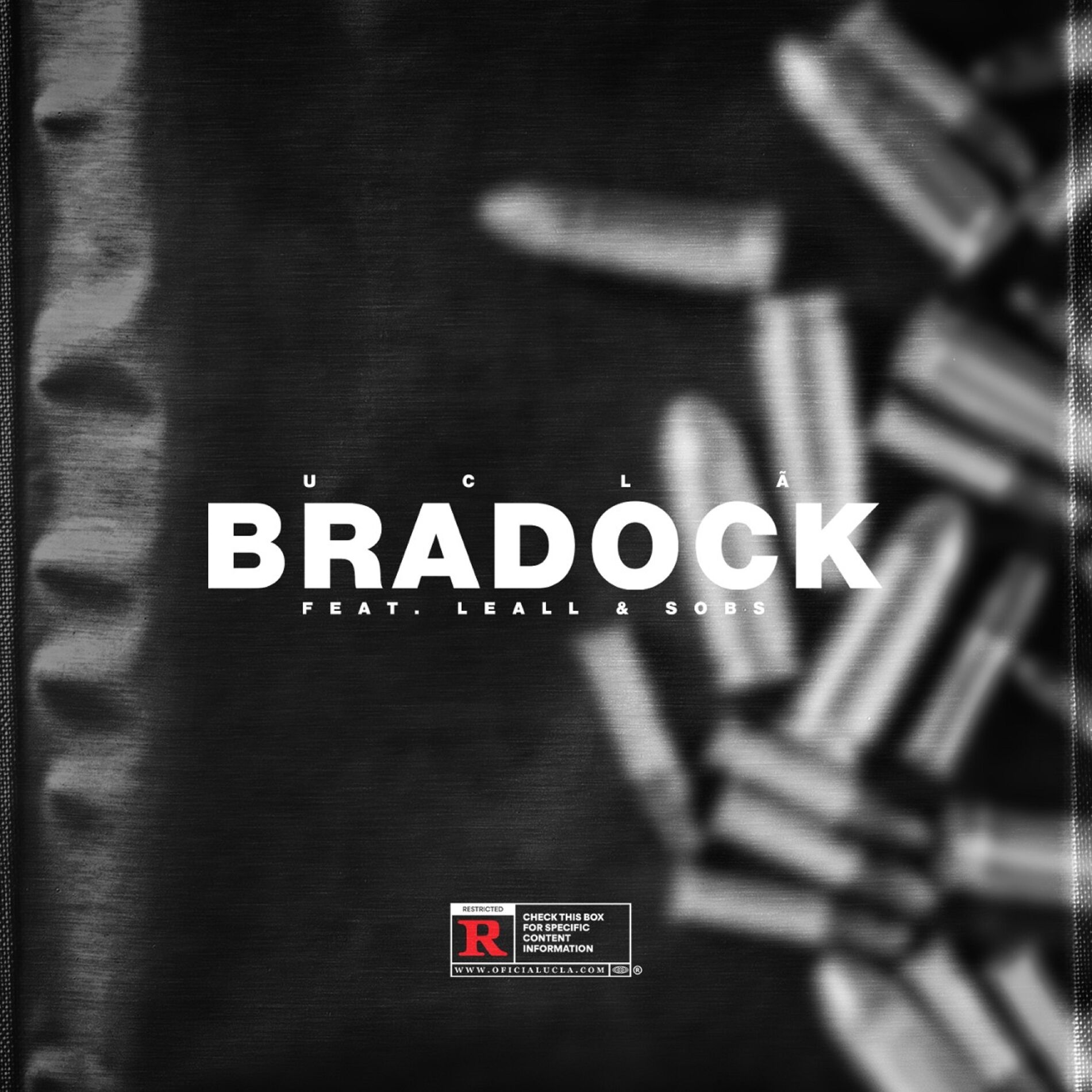 Album cover of Bradock