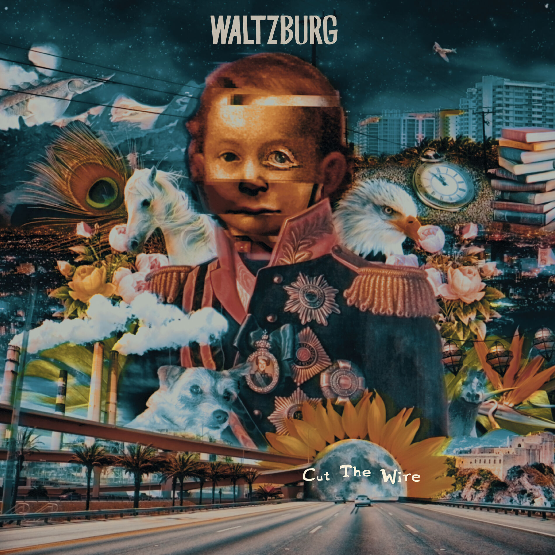 Album cover of Gotor