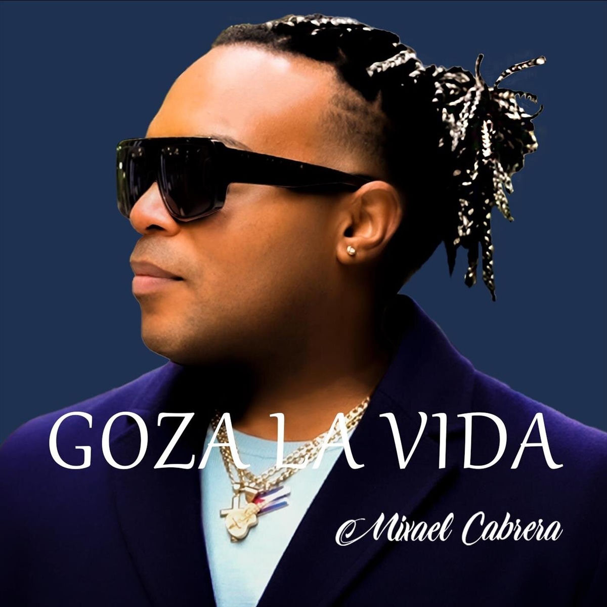 Album cover of Goza la Vida