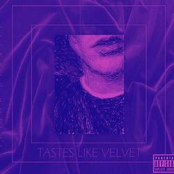 Cover of Tastes Like Velvet - Slowed and Reverb