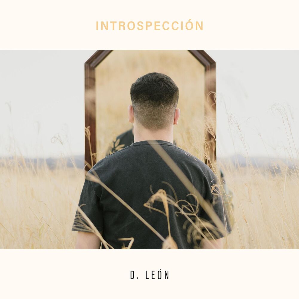 Picture of Introspección