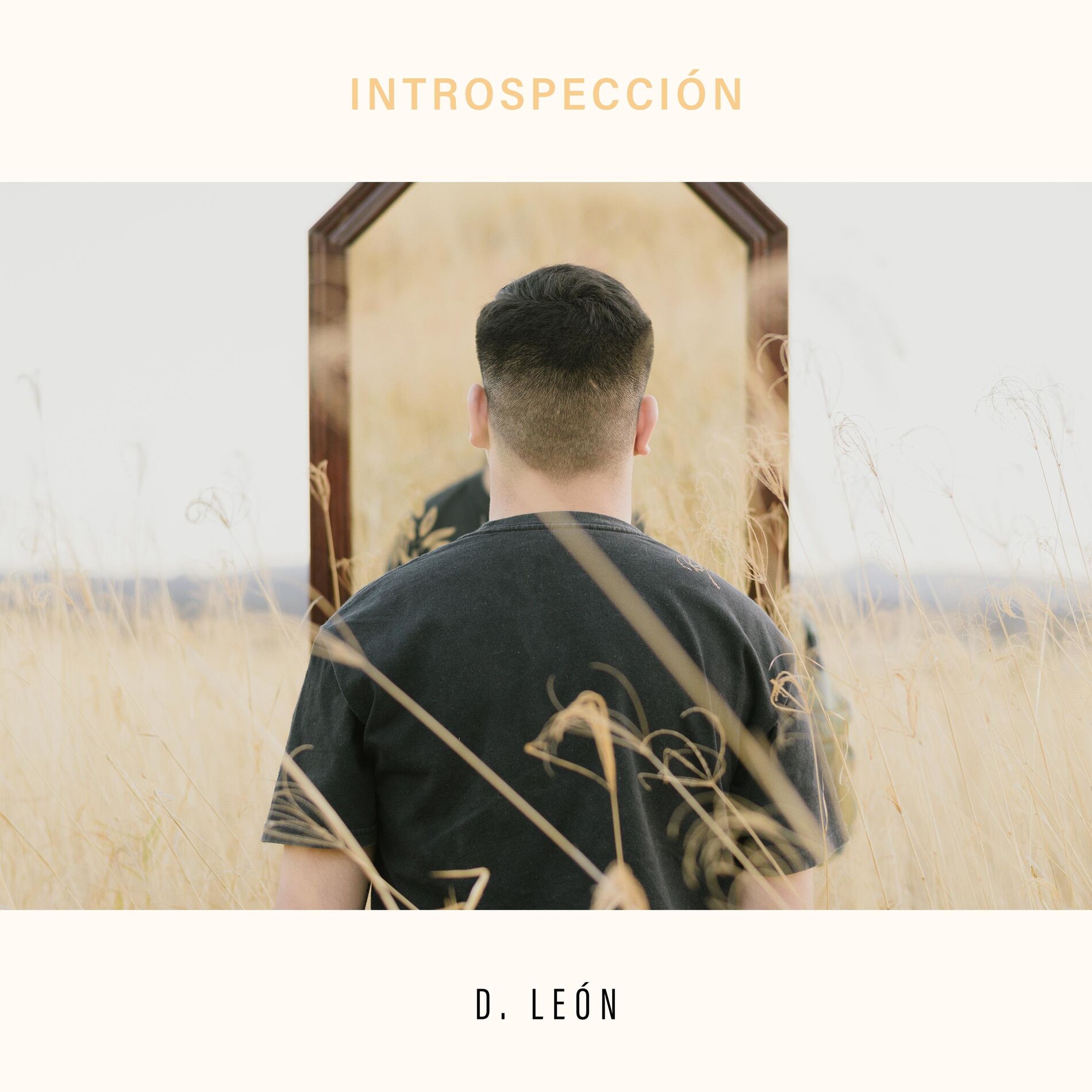Album cover of Introspección