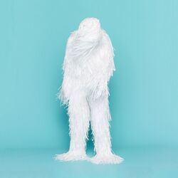 Cover of Can't Understand
