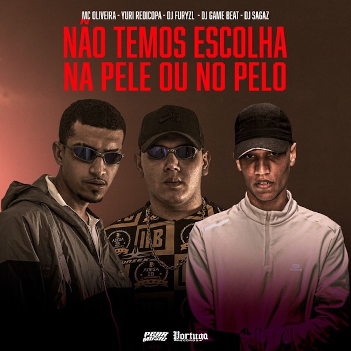 Album cover of Não Temos Escolha Na Pelo Ou No Pelo