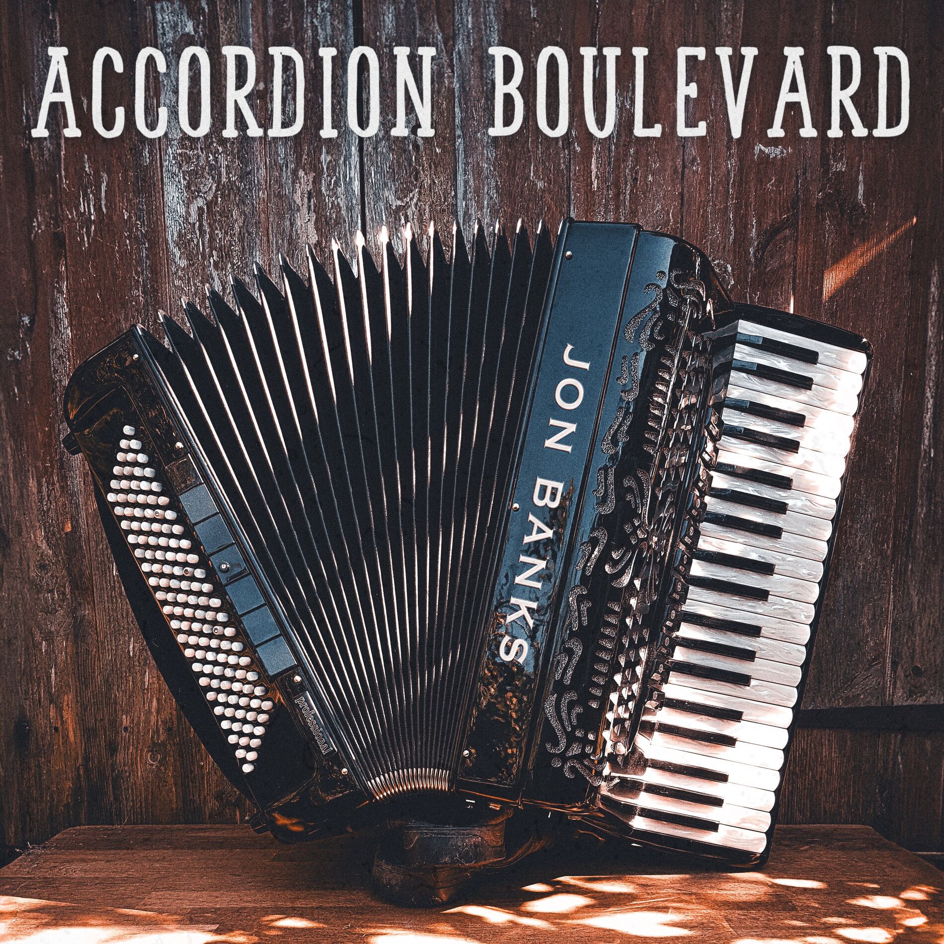 Album cover of Accordion Boulevard