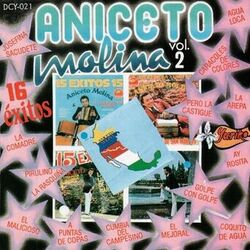 Cover of 16 Exitos Vol. 2