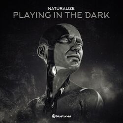 Cover of Playing in the Dark