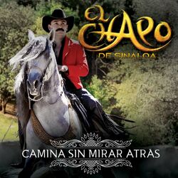 Cover of Camina Sin Mirar Atras