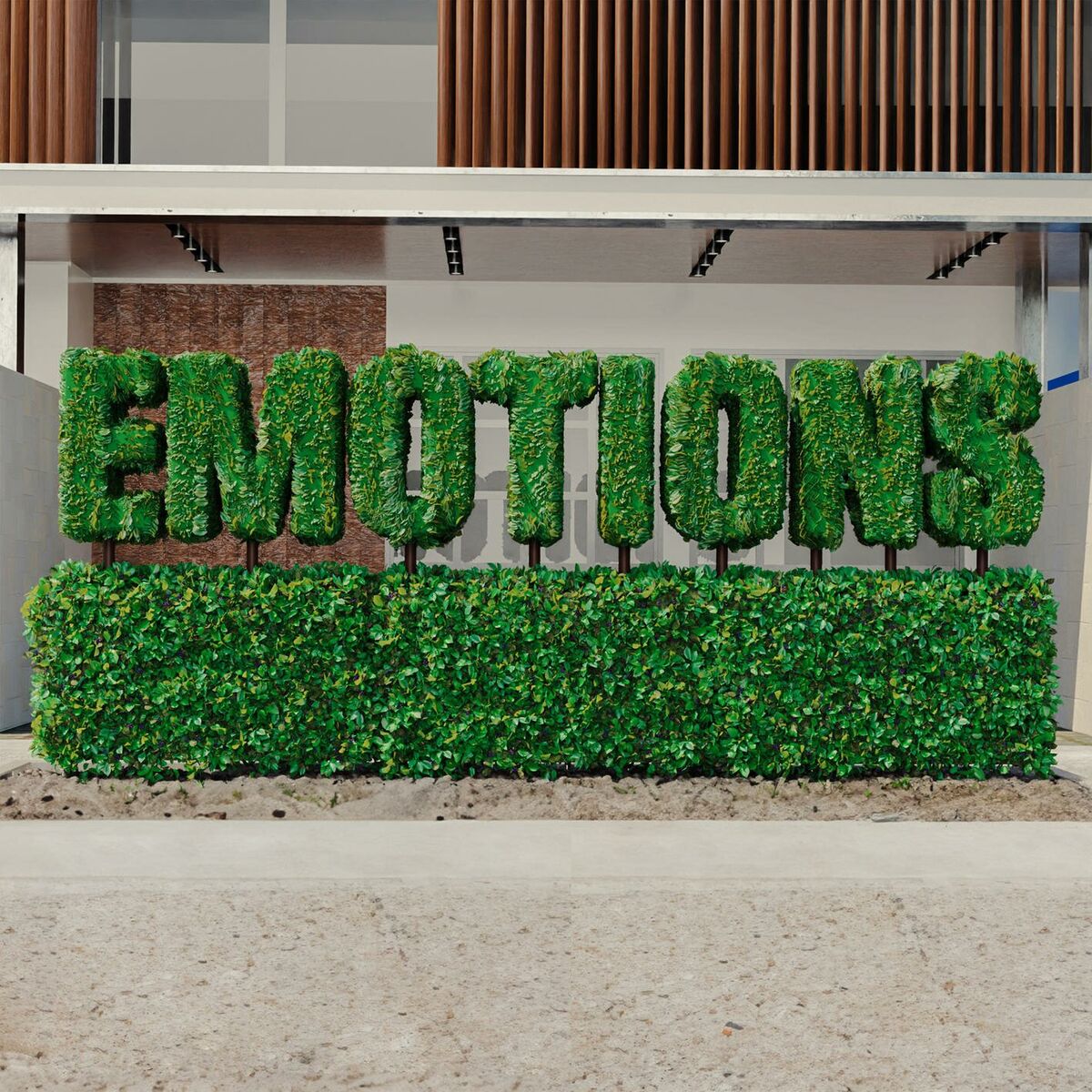 Album cover of emotions