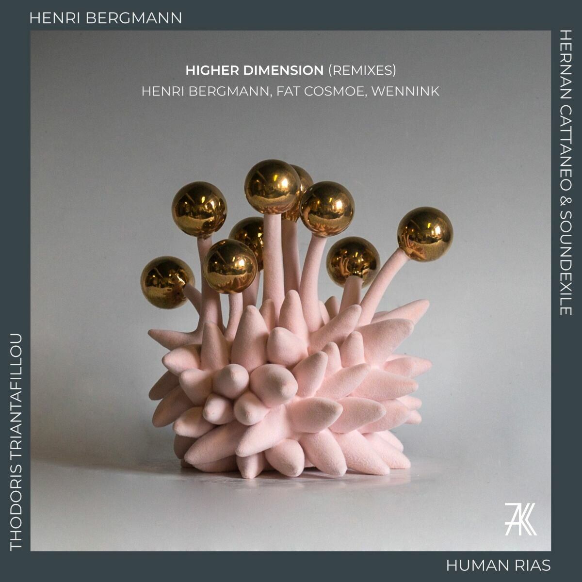 Album cover of Higher Dimension (Remixes II)