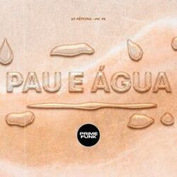 Cover of Pau E Água