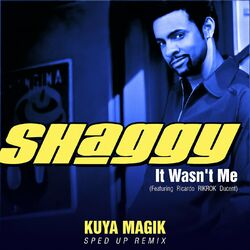 Cover of It Wasn't Me (Sped Up)