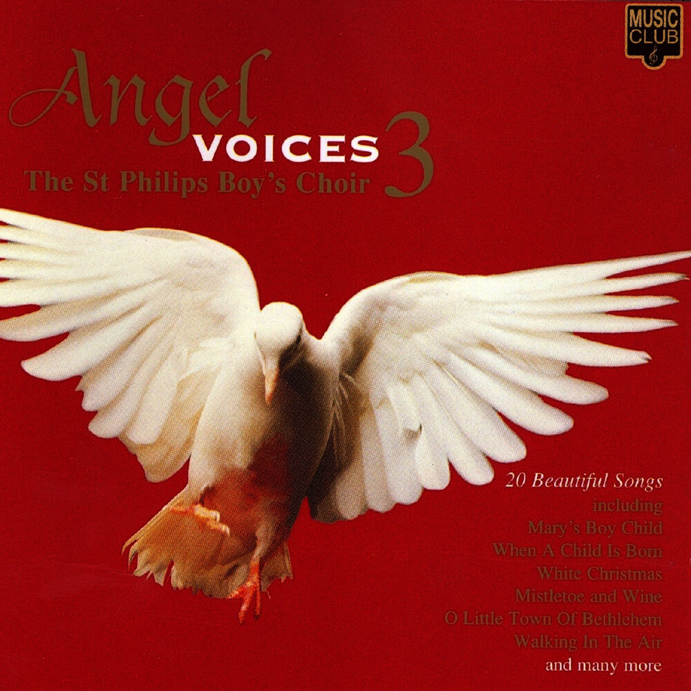 Picture of Angel Voices 3