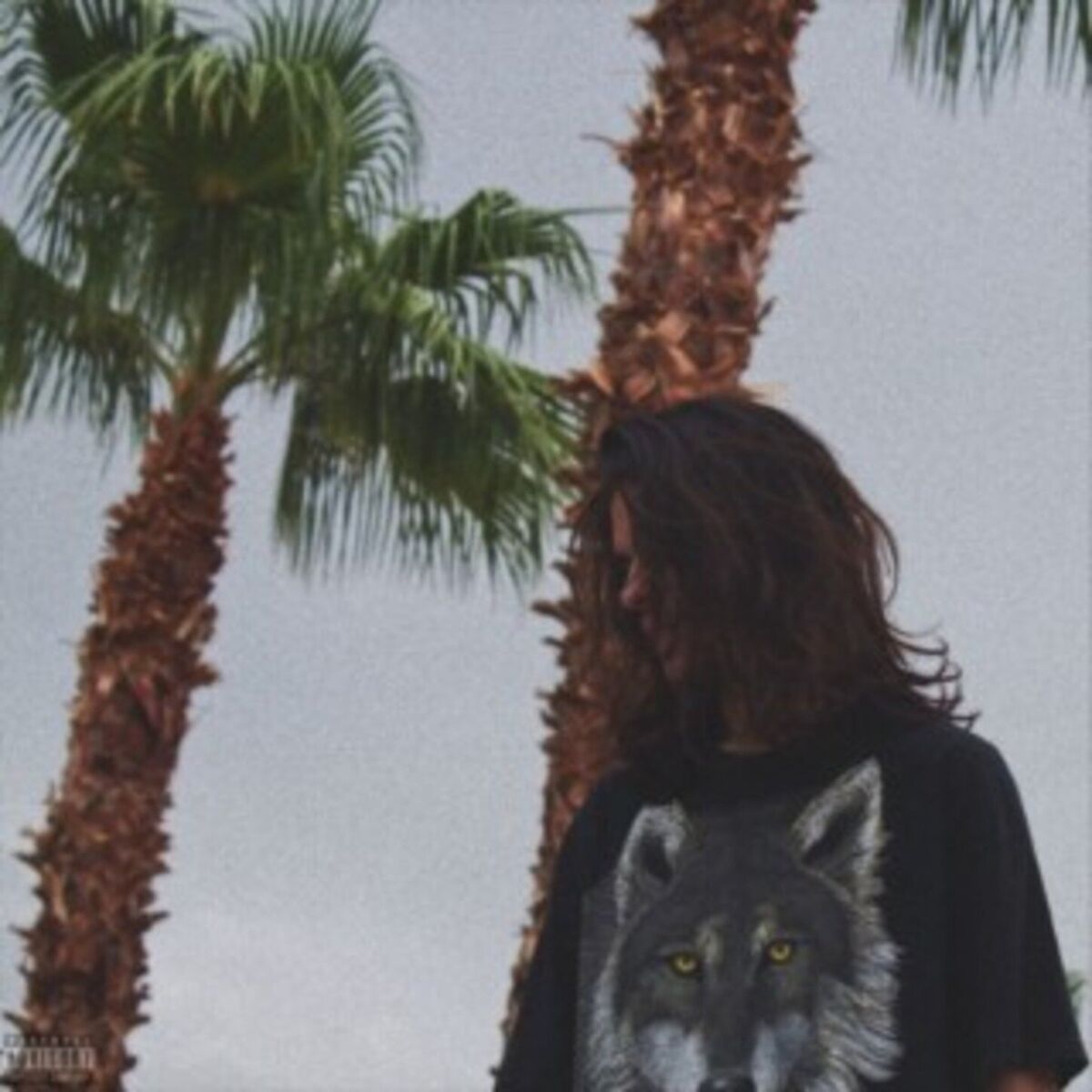 Album cover of Devils Valley II