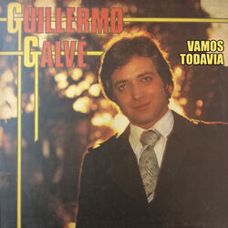 Cover of Vamos Todavia