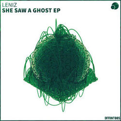 Cover of She Saw A Ghost EP