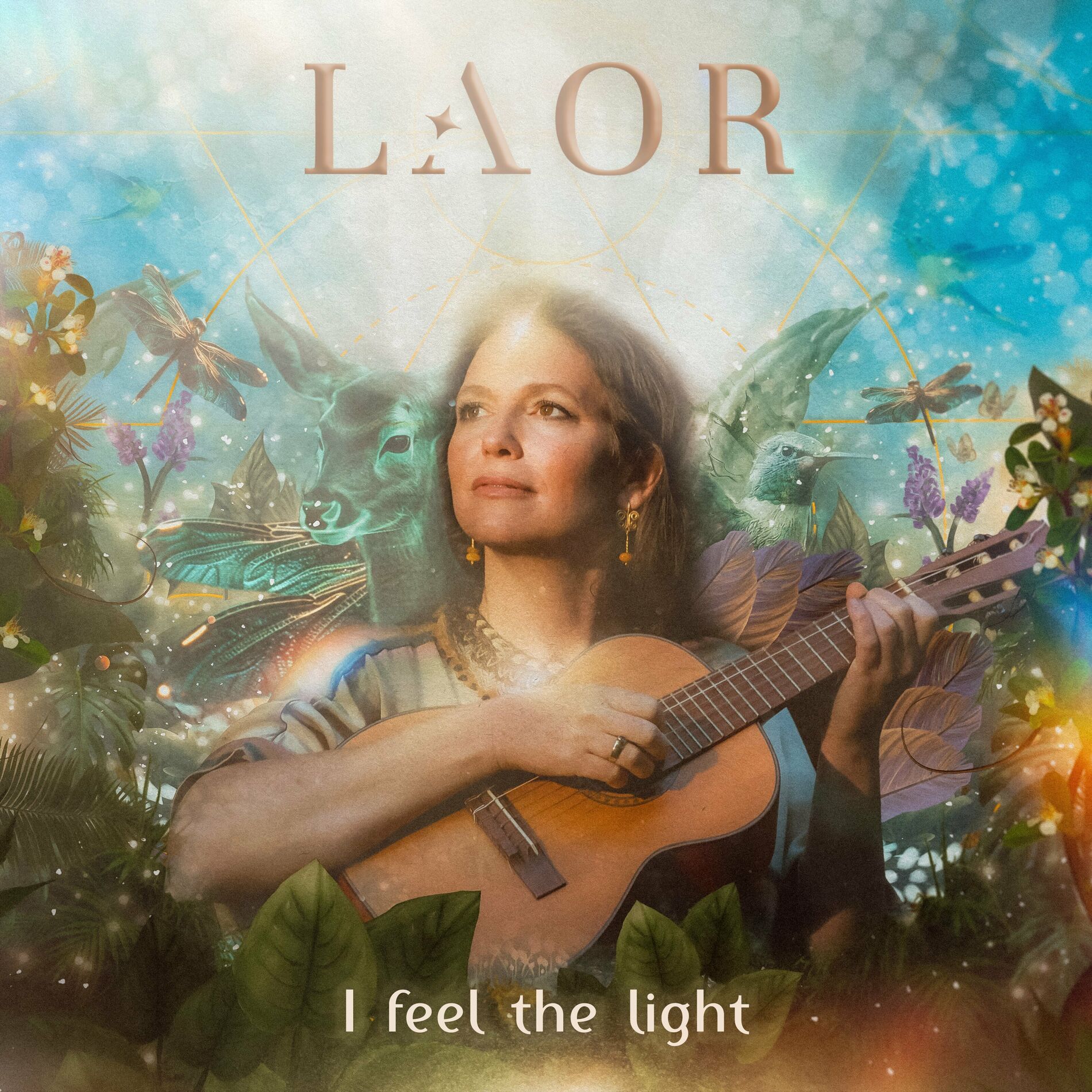 Album cover of I Feel The Light