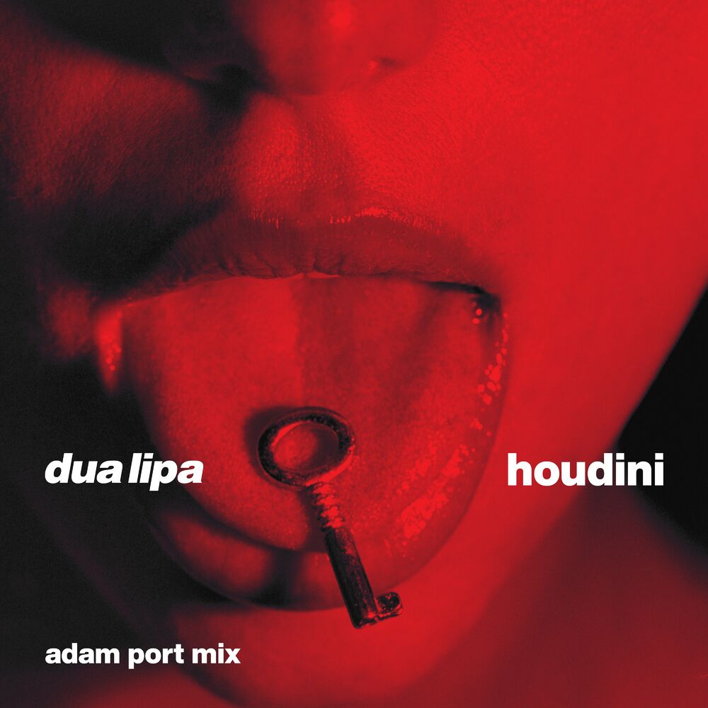Picture of Houdini (Adam Port Mix)