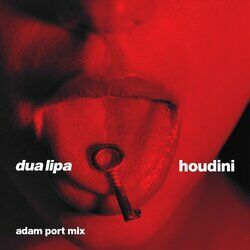 Cover of Houdini (Adam Port Mix)