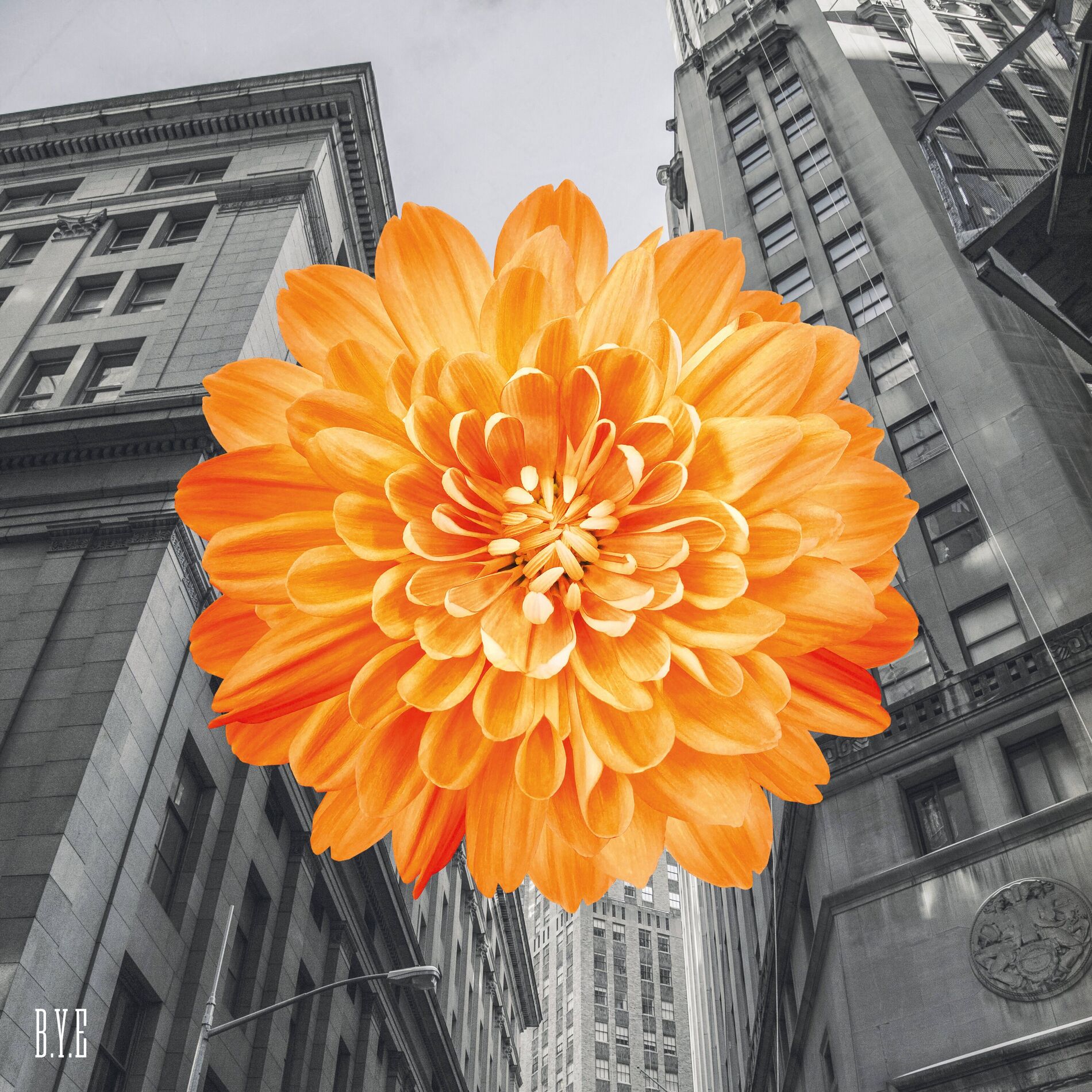 Album cover of B.Y.E