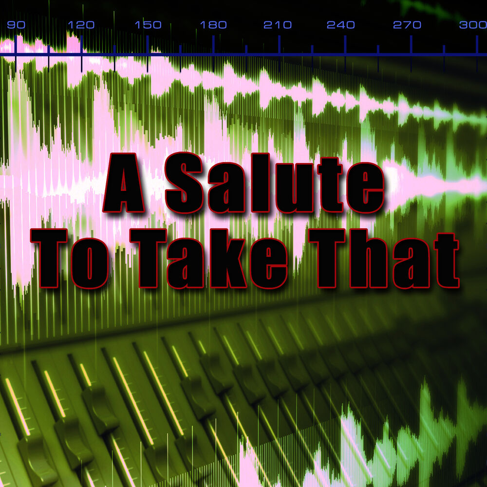 Picture of A Salute To Take That