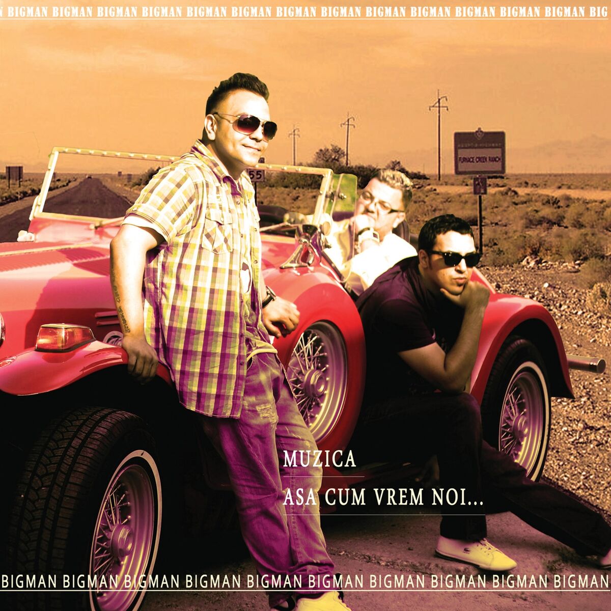 Album cover of Muzica Asa Cum Vrem Noi...