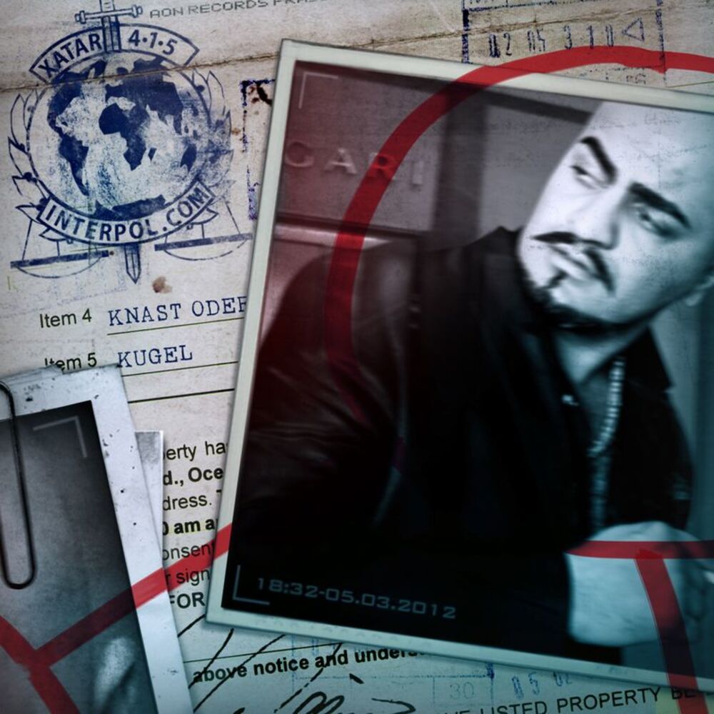 Picture of Interpol.com