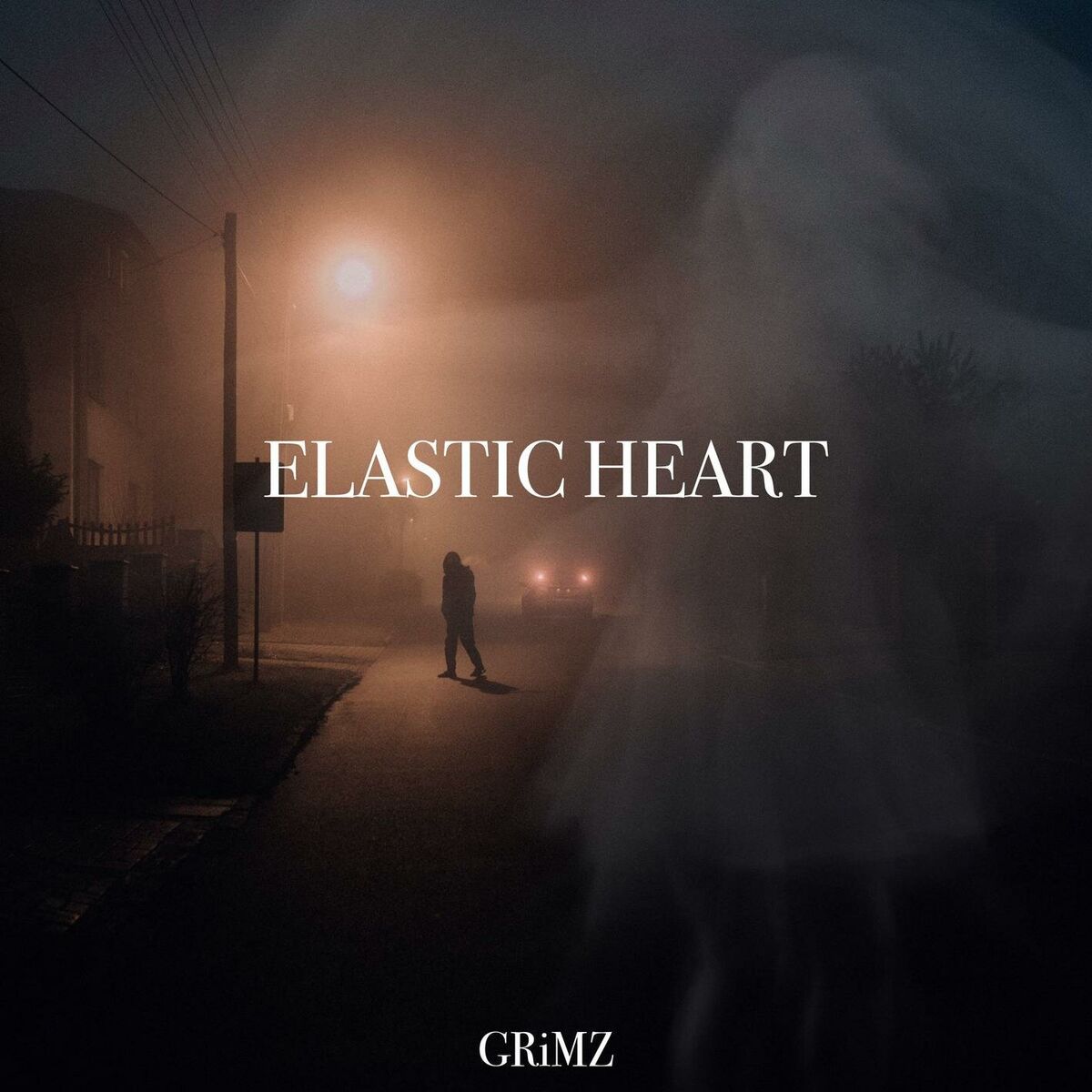 Album cover of Elastic Heart