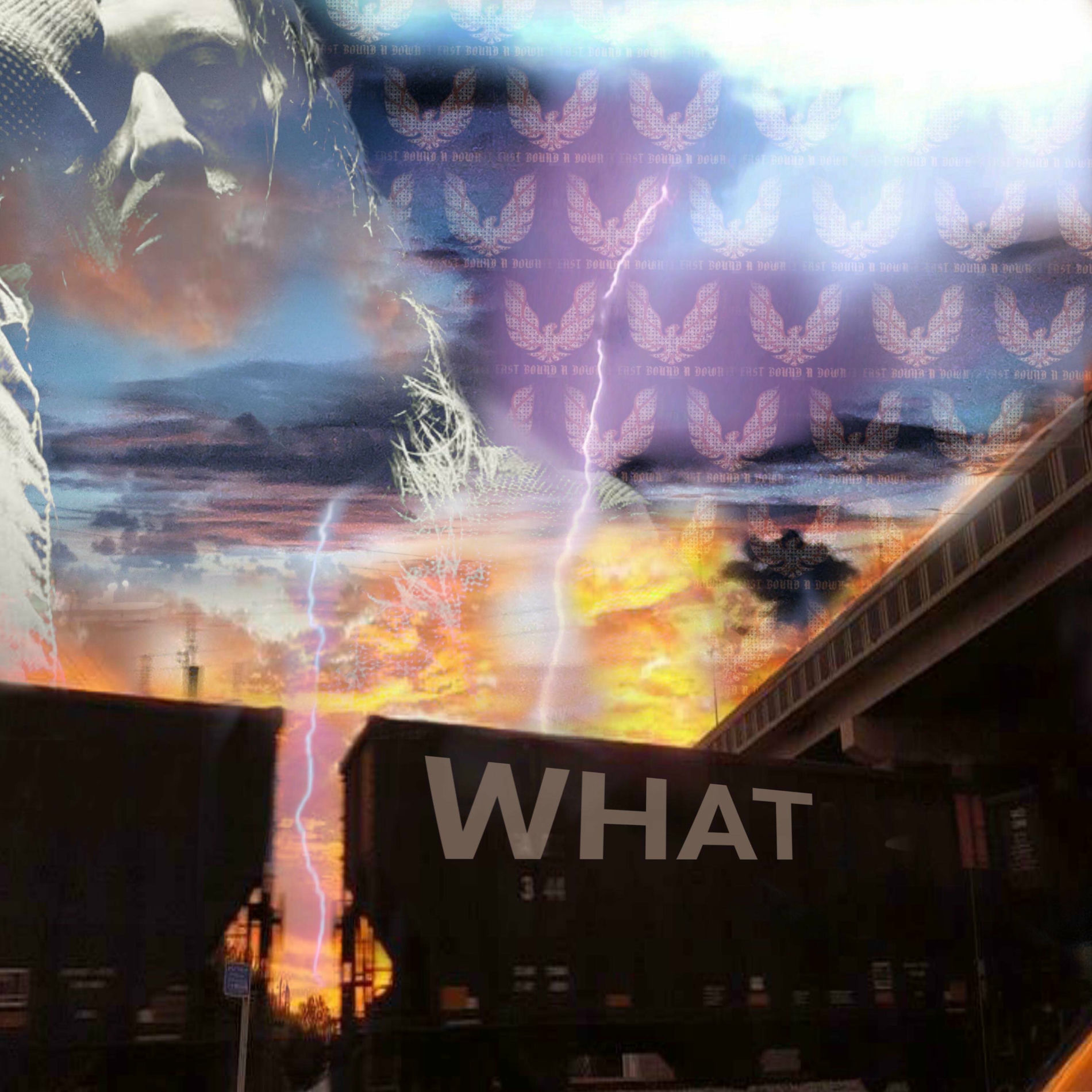 Album cover of What