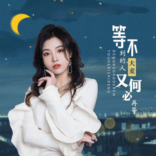 等不到的人又何必再等 (女版)