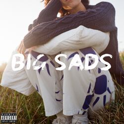 Cover of BIG SADS