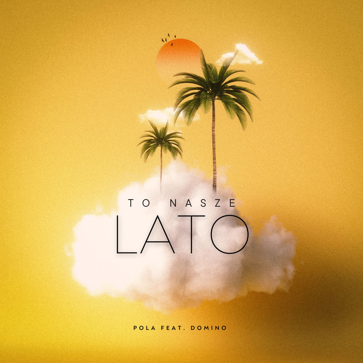 Album cover of To nasze Lato